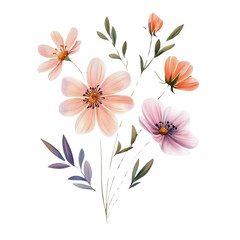 Obraz premium botanical flower watercolor, Sticker Style