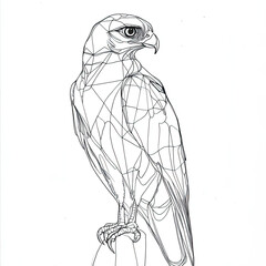 Obraz premium Geometric Falcon Line Art Illustration