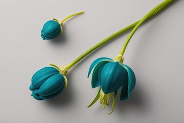 Unique Teal Wax Flower Bud and Sprout on Clear Background Striking Floral Design Accent