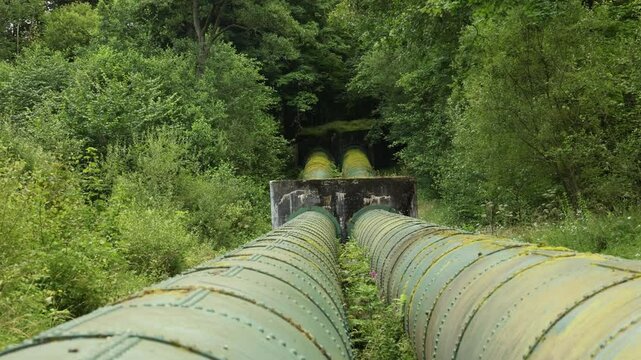 Static shot of overgrown moss sitting ontop of large water supply pipes