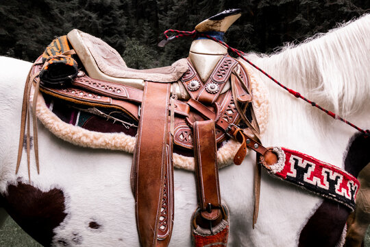 Detailed view of horse saddle and tack in La Marquesa, Mexico