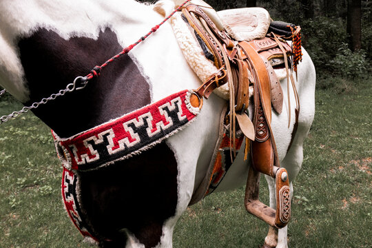 Close-up of ornate horse saddle and harness in La Marquesa