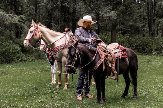 Hispanic man preparing horses in La Marquesa, Toluca