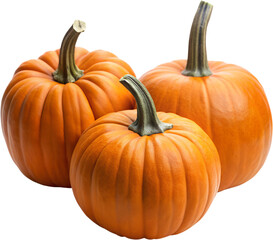Fototapeta premium Haunted Pumpkins Halloween PNG Photo Overlays - High-Resolution, Spooky and Creepy Pumpkin Designs for Creating Eerie Atmosphere in Halloween-Themed Projects, Perfect for Adding a Ghostly Touch. AI