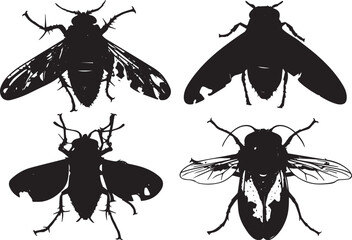 Set bugs. Hand drawn vector illustration	