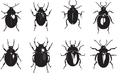 Set bugs. Hand drawn vector illustration	