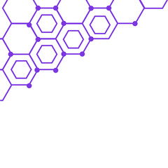 Line Hexagon Corner Vector
