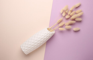 Dried lagurus flowers in vase on a pastel background. Top view