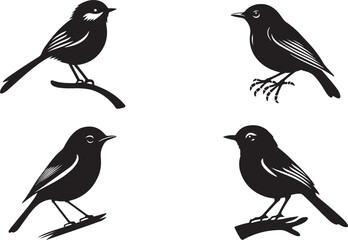 Set of Bird Silhouette Vector Art - EPS Illustrations for Your Designs