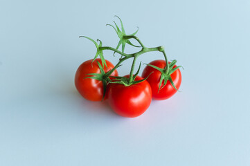 Tomato and other vegetables. Healthy autumn harvest. Straight from the garden