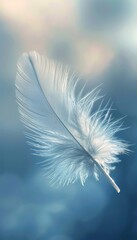 Single White Feather, Blue Gradient Background, Sunshine, Lightness, Airiness, Hope, Freedom