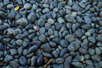 Background and texture of coastal rocks in close view.