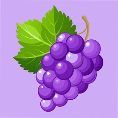 Grape Vector Illustration for Creative Projects