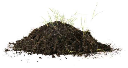 PNG Fresh soil with green sprouts