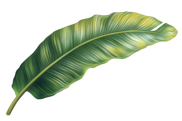 Obraz premium A vibrant green tropical leaf, showcasing lush textures and rich colors, ideal for nature-themed designs and backgrounds.