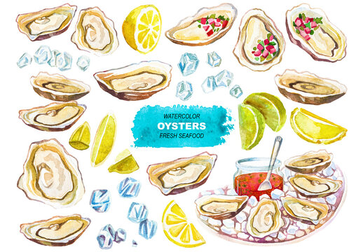 Vector watercolor painted oysters clipart. Hand drawn elements isolated on white background.