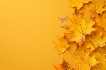 Flat lay frame with colorful autumn leaves on yellow background with ample copy space image. isolated pastel backdrop. colorful desktop wallpaper with maple leaves