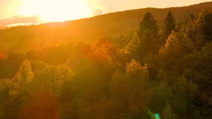AERIAL, LENS FLARE: Autumn coloured treetops glow in golden light of rising sun. Beautiful...