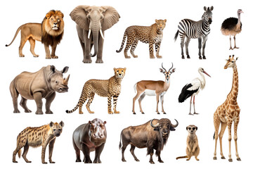 Naklejka premium PNG African animal element set, transparent background