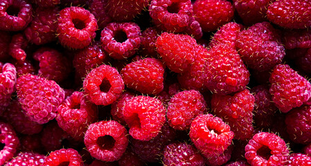 Raspberry fruit background