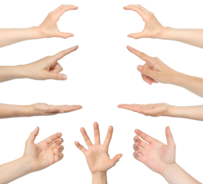 Set of Hands with different gestures, isolated on transparent background