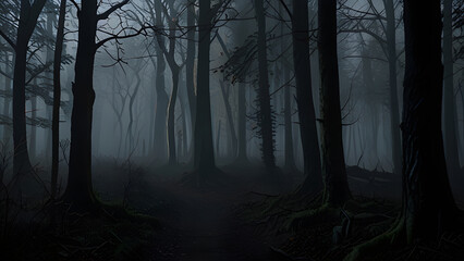 Fototapeta premium fog in the forest