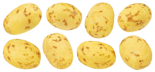Peeled early potatoes isolated on white background