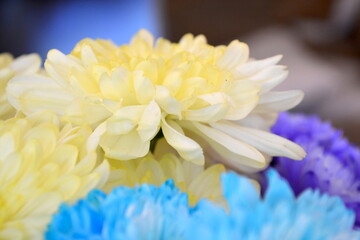 Pastel flowers in a vase