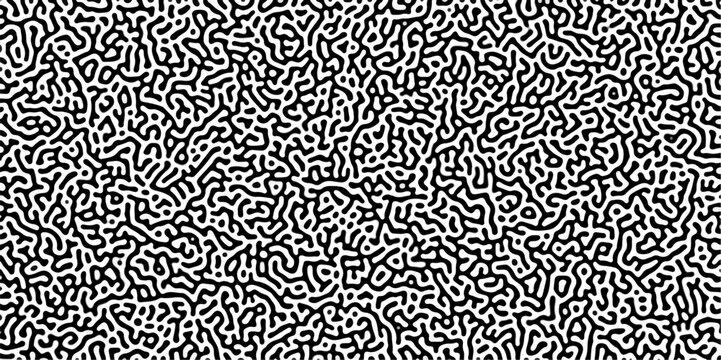 Abstract truing organic wallpaper Turing reaction diffusion monochrome seamless pattern .Monochrome Turing reaction background .Natural seamless line pattern. Linear design with biological shapes