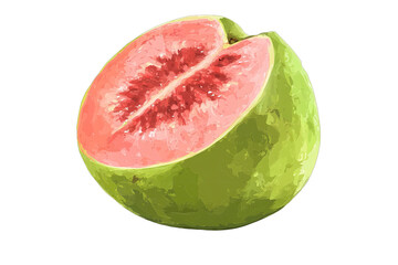 A vibrant illustration of a sliced fruit, showcasing its juicy pink flesh and green exterior, perfect for food-related themes.