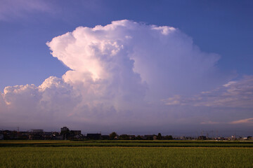 宇都宮市　夕暮れに発生した、かなとこ雲