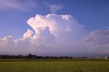 宇都宮市　夕暮れに発生した、かなとこ雲