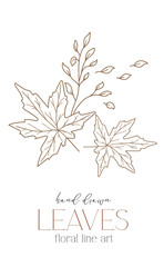 Fall leaf outline isolated on white. Autumn leaves line art. Leaf Line Art Illustration Hand Drawn. Fall Coloring Page with Leaves. Thanksgiving graphics
