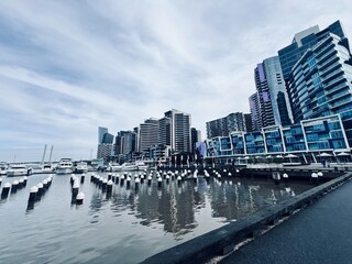 Obraz premium city harbour bridge