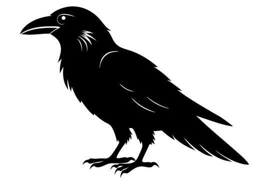 recommend clip art: Raven silhouette vector art. Crow bird icon illustration