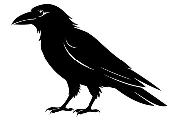 Raven silhouette vector art. Crow bird icon illustration