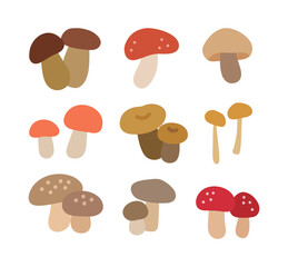 Set of hand drawn mushroom illustrations.