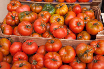Fresh tomatoes on branch in wicker baskets on counter