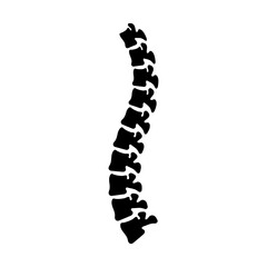 Vector illustration of backbone on transparent background