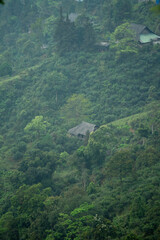 North West Highland of Viet Nam's landscape with ethnic feature of fog with green stairs paddy field and small house