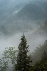 North West Highland of Viet Nam's landscape with ethnic feature of fog with green stairs paddy field and small house