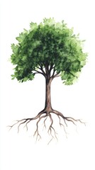 A vibrant green tree showcasing lush leaves and sturdy roots, symbolizing growth and nature's beauty.
