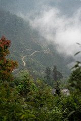 North West Highland of Viet Nam's landscape with ethnic feature of fog with green stairs paddy field and small house