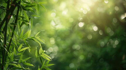 Close-up of Vibrant Green Bamboo Leaves with Sunlight and Bokeh Background.