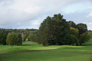 green fairway and surrounding trees on golf course. parkland golf course landscape. 