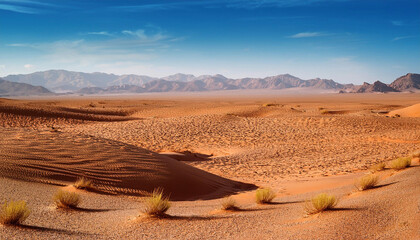 a Desert Landscape