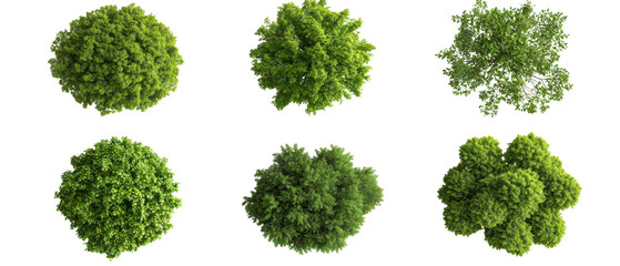 Top view, Set of six unique green trees isolate on transparent background, cutout, png