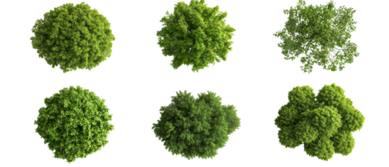 Top view, Set of six unique green trees isolate on transparent background, cutout, png