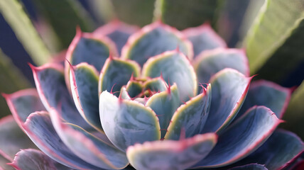 Create a macro shot with a focus on fine, intricate details, where the subject is illuminated in vibrant hues, standing out againsta softly blurred background