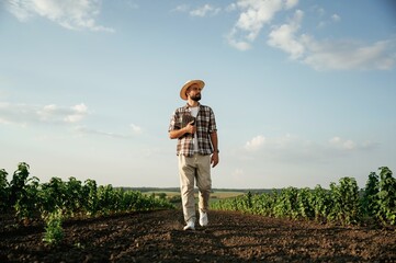 Fototapeta premium Front view, walking forward. Farmer is on the agricultural field